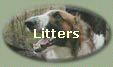 Litters