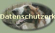 Datenschutzerklrung