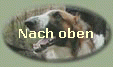 Nach oben