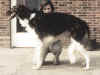 baruschka_ad_zarenreich.jpg (38085 Byte)