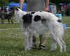 chopin_z_bilmy_13mo1.jpg (65005 Byte)