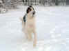 ischyma_dances_with_wolves_22mo1.jpg (44976 Byte)
