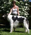 ischyma_dances_with_wolves_2j2.jpg (105510 Byte)