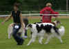 ischyma_dances_with_wolves_3jgw.jpg (55612 Byte)