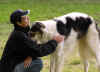 ischyma_danceswithwolves_18mo11.jpg (47905 Byte)