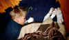 fandango_leon1.jpg (73982 Byte)