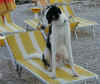 ischyma_fellini_11mo2.jpg (74435 Byte)