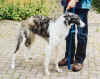 ischyma_florence_8mo2.jpg (255145 Byte)