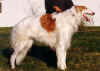 falstaff_de_pinedo.jpg (78211 Byte)
