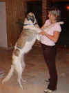 ischyma_genoveva_1jnewhome.jpg (48323 Byte)