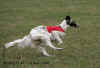 ischyma_genoveva_1stcoursing.jpg (51367 Byte)