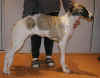 ischyma_genoveva_5_5mo.jpg (58347 Byte)