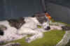 hozette_new_home4.jpg (44365 Byte)