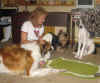 hozette_new_home5.jpg (61367 Byte)