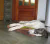 hozette_new_home6.jpg (43457 Byte)