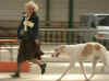 ischyma_hitan_rayen_6mo_1show2.jpg (46396 Byte)