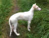3mo_ischyma_karim.JPG (226093 Byte)