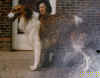 kaiber_khans_altan.jpg (58996 Byte)