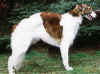 milva_3j_1.jpg (66985 Byte)