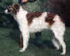 milva_9mo.jpg (40249 Byte)
