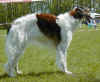 milva_bob_berlin02.jpg (66078 Byte)