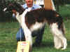 totschka.jpg (56907 Byte)